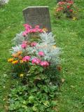 image of grave number 260308